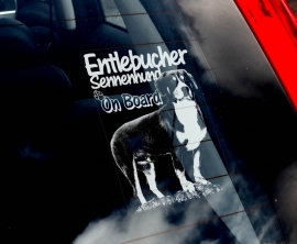 Entlebucher Sennenhond - Entlebucher Sennenhund V01