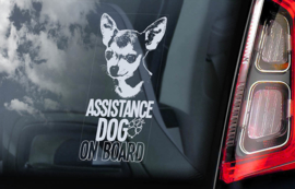 Geleide hond - Assistance dog - Guide Dog - Chihuahua V07