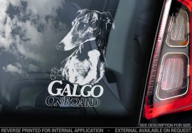 Galgo V02