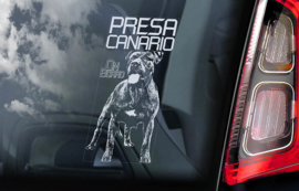 Presa Canario V3