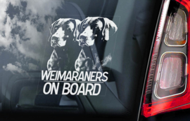 Weimaraner V03