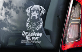 Chesapeake Bay Retriever V02