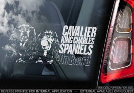 Cavelier King Charles Spaniel V04