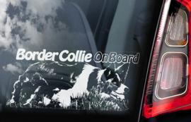 Border Collie V02