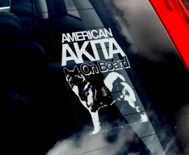 Akita (Amerikaanse) - American Akita - Amerikanische Akita V02