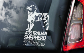 Australian Shepherd V01