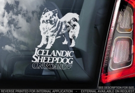 IJslandse Hond - Icelandic Sheepdog V01