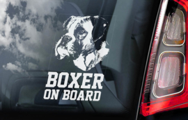 Boxer V01