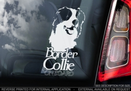 Border Collie V04
