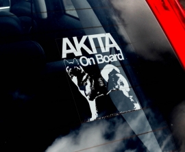 Akita (Amerikaanse) - American Akita - Amerikanische Akita V01