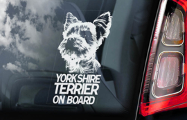 Yorkshire Terrier V01