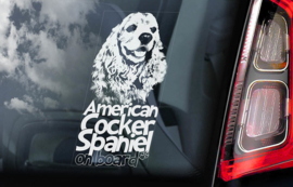 Amerikaanse Cocker Spaniel V02