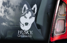 Siberische Husky V03