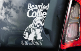 Bearded Collie V01