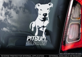 Pitbull V03