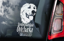 Sredneasiatskaïa Ovtcharka - Centraal  Aziatische Owcharka - Central Asian Shepherd V01