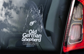 Old German Shepherd - Oud Duitse Herder