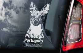 Podengo Portugues V03