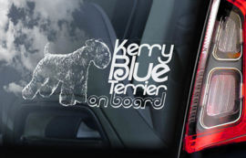 Kerry Blue Terrier V01