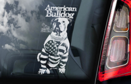 Amerikaanse Bulldog V04