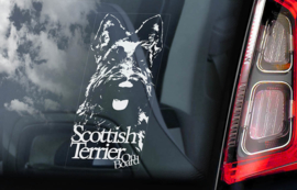 Schotse Terrier V01