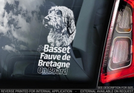 Basset Fauve de Bretagne  V01