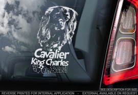 Cavelier King Charles Spaniel V03