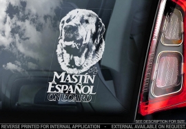 Mastin Espanol - Spanish Mastiff V01