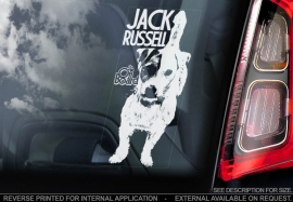 Jack Russel Terrier V03