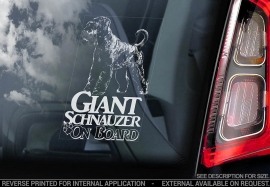 Riesenschnauzer - Giant Schnauzer V02