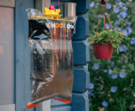 Knock Off Flytrap Garden