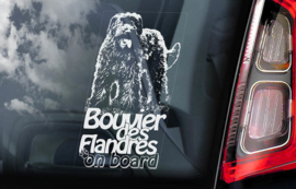 Bouvier des Flandres V01