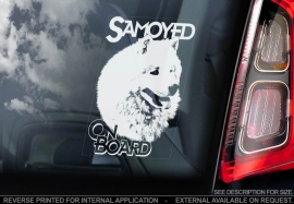 Samojeed - Samoyed  V01