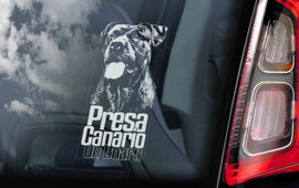 Presa Canario V5