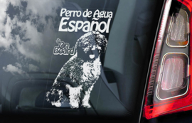 Perro De Agua Espanol -  Spaanse Waterhond - Spanish Water Dog V01