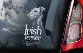 Ierse Terrier - Irish Terrier V02