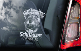 Schnauzer V03