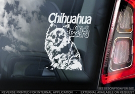 Chihuahua Langhaar V02