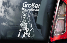 Grote Munsterlander - Grosser Munsterlander V01