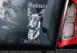 Podenco - V04