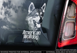 Amerikaanse Wolfhond - American Wolfdog - Amerikanischer Wolfshund V01