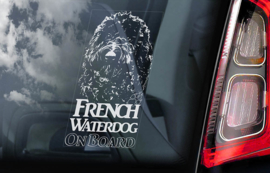 Barbet - Franse Waterhond -   French Waterdog V01