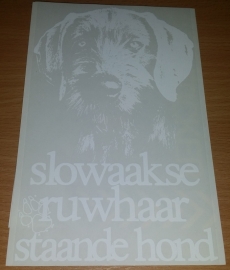 Slowaakse ruwhaar staande hond xxx