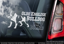 Olde English Bulldog V01