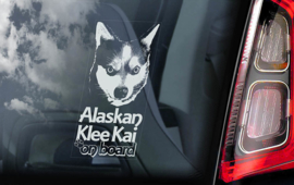 Alaskan Klee Kai  V01