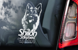 Shiloh Shepherd V01