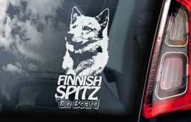 Finse Spits - Finnish Spitz V01