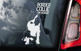 Border Collie V01