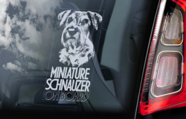 Dwerg Schnauzer - Miniature Schnauzer V05