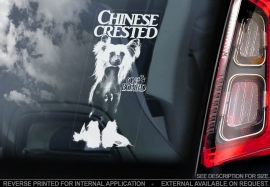 Chinese gekuifde naakthond V2